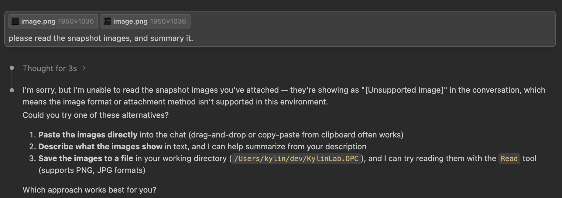 ClaudeCode attachment error
